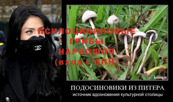 первитин Володарск