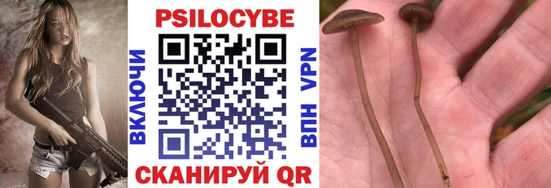 Псилоцибиновые грибы Psilocybine cubensis где купить наркоту Яхрома