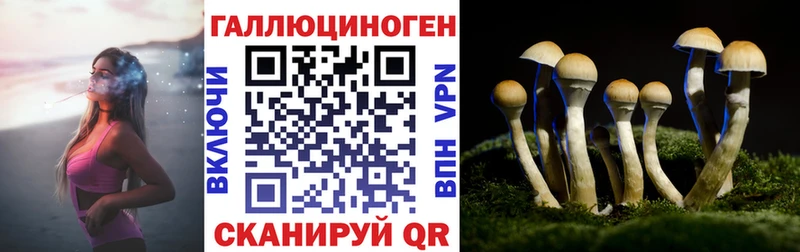 Галлюциногенные грибы мицелий Яхрома